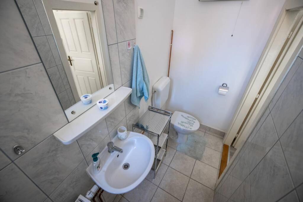 شقة Apartman Gaudeamus فاغاشدين المظهر الخارجي الصورة